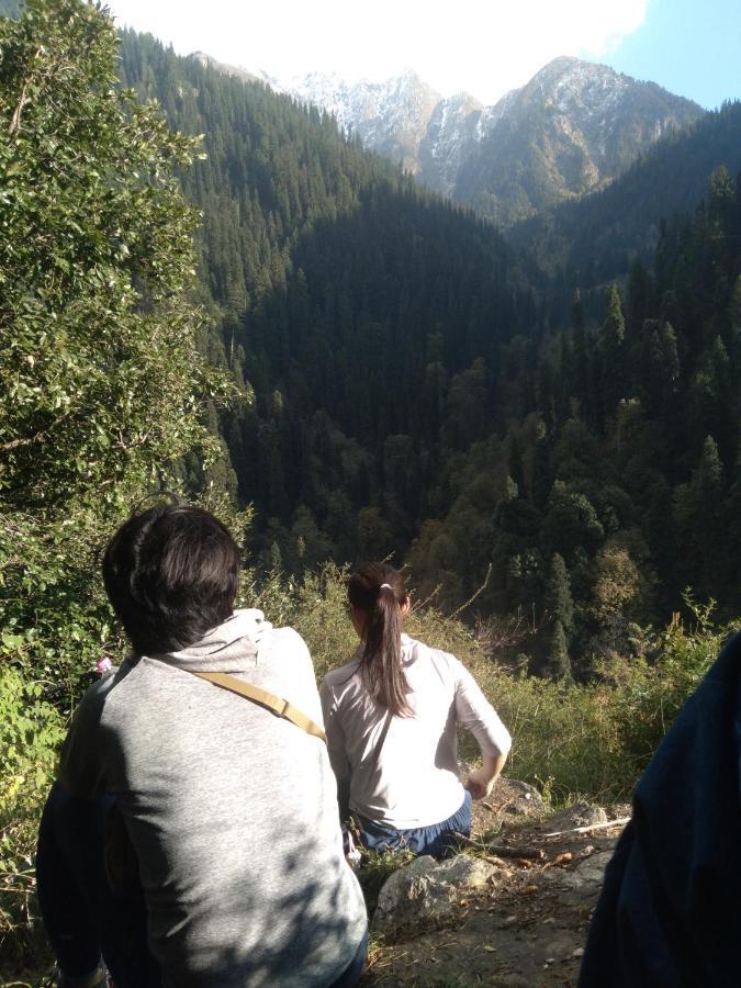 The Tirthan Eagle Nest, Tirthan Valley Jibhi Kültér fotó